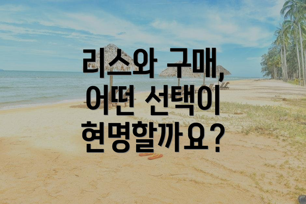 리스와 구매, 어떤 선택이 현명할까요?