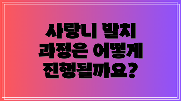 사랑니 발치 과정은 어떻게 진행될까요?