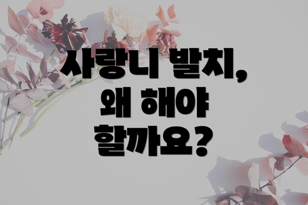 사랑니 발치, 왜 해야 할까요?