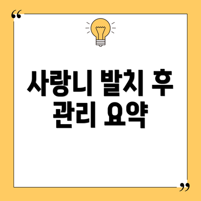 사랑니 발치 후 관리 요약