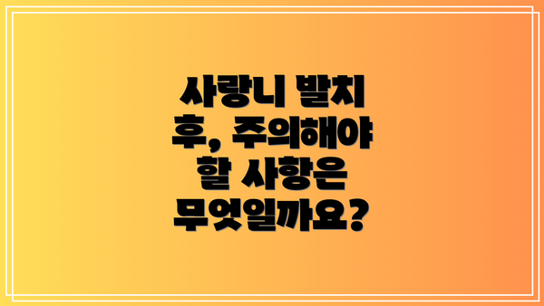 사랑니 발치 후, 주의해야 할 사항은 무엇일까요?