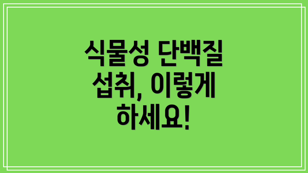 식물성 단백질 섭취, 이렇게 하세요!