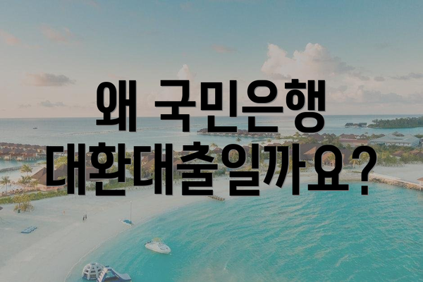 왜 국민은행 대환대출일까요?