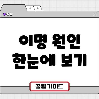 이명 원인 한눈에 보기