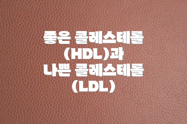 좋은 콜레스테롤(HDL)과 나쁜 콜레스테롤(LDL)