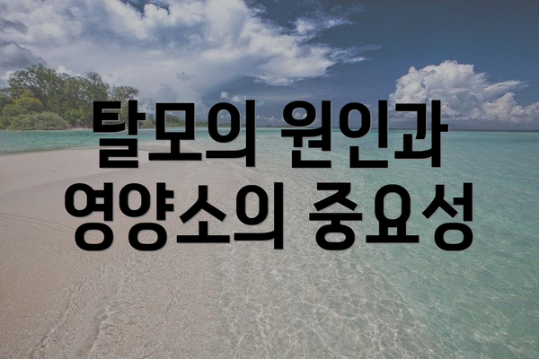 탈모의 원인과 영양소의 중요성