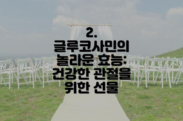 2. 글루코사민의 놀라운 효능: 건강한 관절을 위한 선물