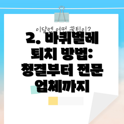 2. 바퀴벌레 퇴치 방법: 청결부터 전문 업체까지