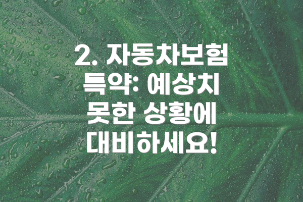 2. 자동차보험 특약: 예상치 못한 상황에 대비하세요!