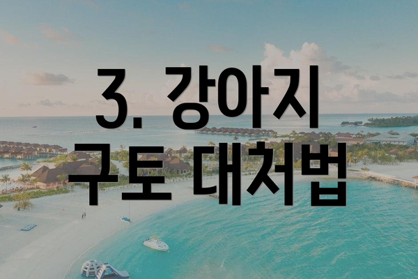 3. 강아지 구토 대처법