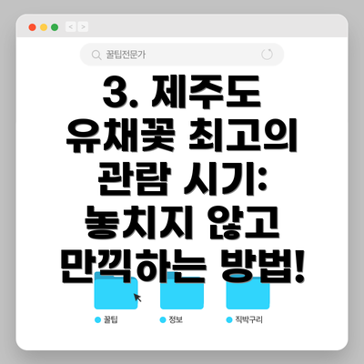 3. 제주도 유채꽃 최고의 관람 시기:  놓치지 않고 만끽하는 방법!