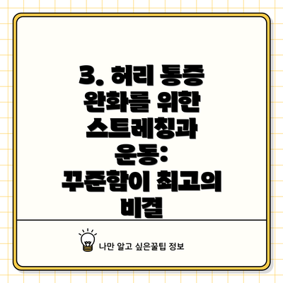 3. 허리 통증 완화를 위한 스트레칭과 운동:  꾸준함이 최고의 비결