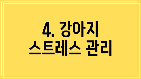 4. 강아지 스트레스 관리