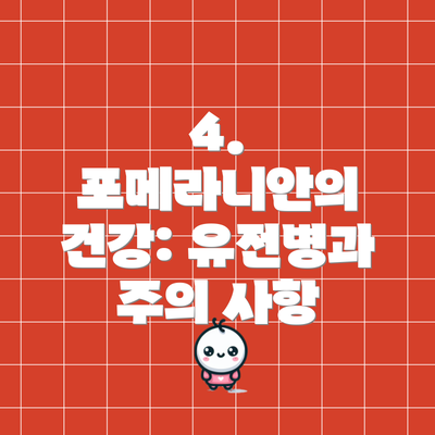4. 포메라니안의 건강: 유전병과 주의 사항