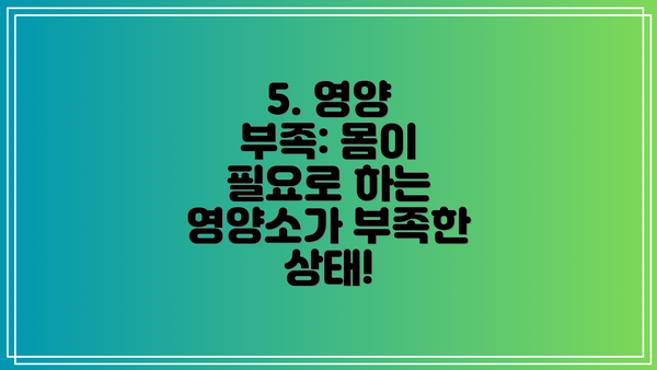 5. 영양 부족: 몸이 필요로 하는 영양소가 부족한 상태!
