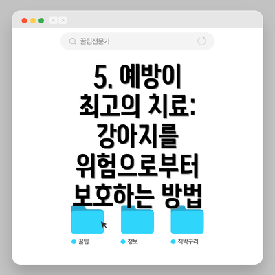 5. 예방이 최고의 치료: 강아지를 위험으로부터 보호하는 방법