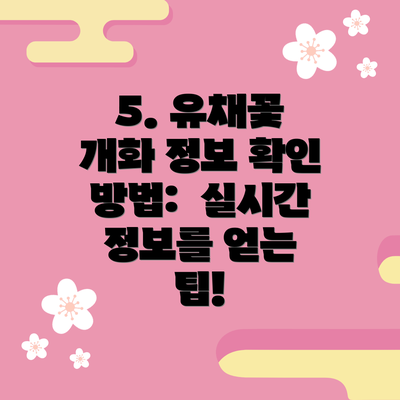 5. 유채꽃 개화 정보 확인 방법:  실시간 정보를 얻는 팁!