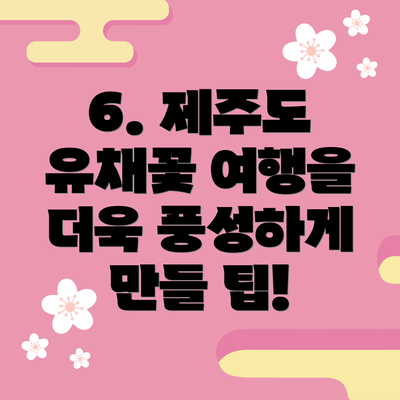 6. 제주도 유채꽃 여행을 더욱 풍성하게 만들 팁!