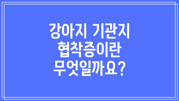 강아지 기관지 협착증이란 무엇일까요?