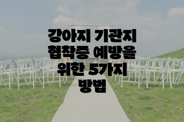 강아지 기관지 협착증 예방을 위한 5가지 방법