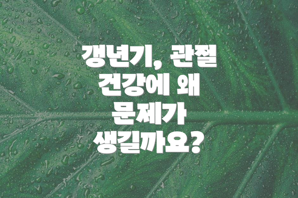 갱년기, 관절 건강에 왜 문제가 생길까요?