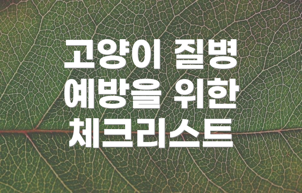 고양이 질병 예방을 위한 체크리스트