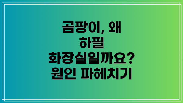 곰팡이, 왜 하필 화장실일까요?  원인 파헤치기