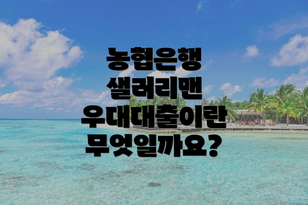 농협은행 샐러리맨 우대대출이란 무엇일까요?