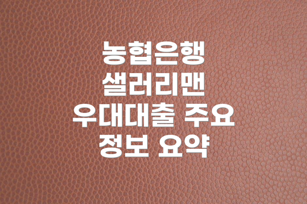 농협은행 샐러리맨 우대대출 주요 정보 요약