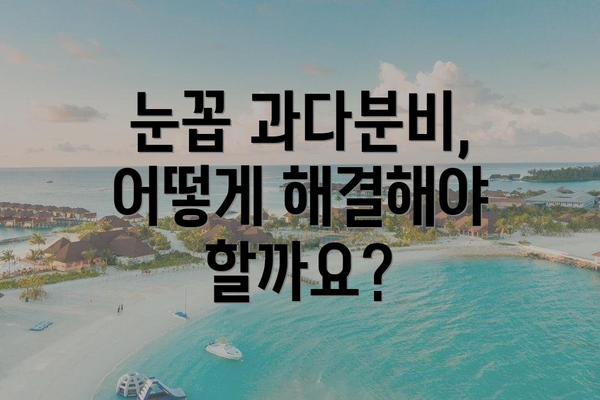 눈꼽 과다분비, 어떻게 해결해야 할까요?