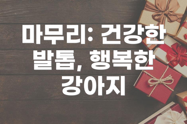 마무리: 건강한 발톱, 행복한 강아지