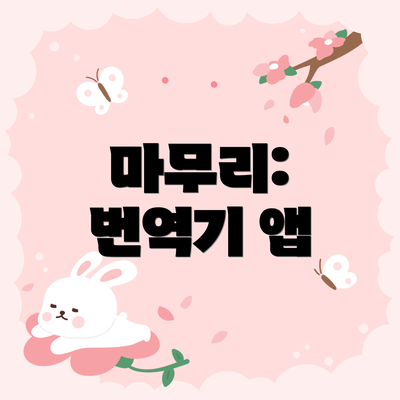 마무리:  번역기 앱