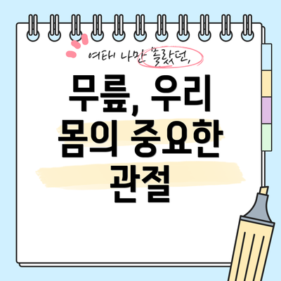 무릎, 우리 몸의 중요한 관절