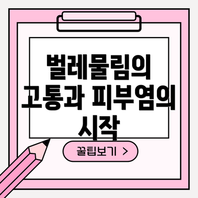 벌레물림의 고통과 피부염의 시작