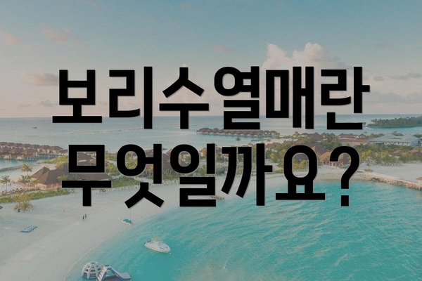 보리수열매란 무엇일까요?