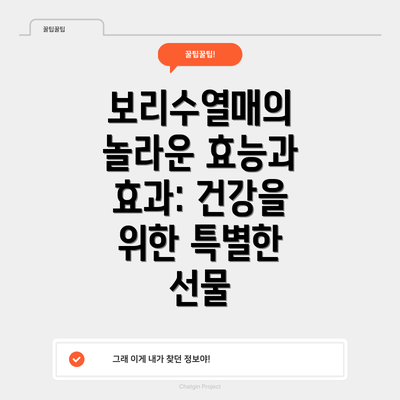 보리수열매의 놀라운 효능과 효과: 건강을 위한 특별한 선물
