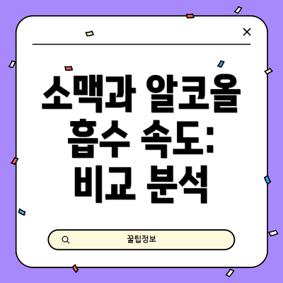 소맥과 알코올 흡수 속도:  비교 분석