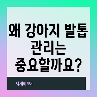 왜 강아지 발톱 관리는 중요할까요?