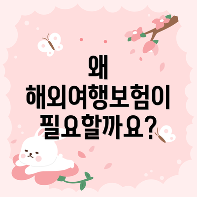 왜 해외여행보험이 필요할까요?
