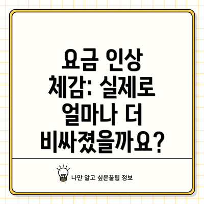 요금 인상 체감: 실제로 얼마나 더 비싸졌을까요?