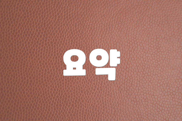 요약