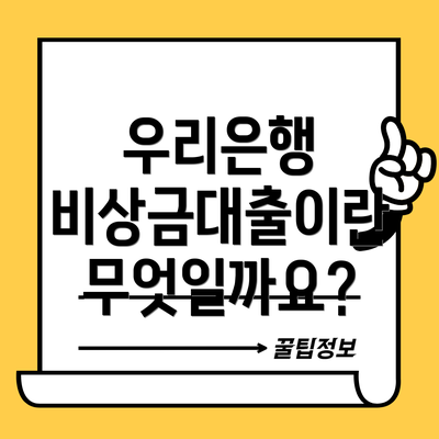 우리은행 비상금대출이란 무엇일까요?