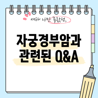 자궁경부암과 관련된 Q&A