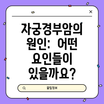 자궁경부암의 원인:  어떤 요인들이 있을까요?