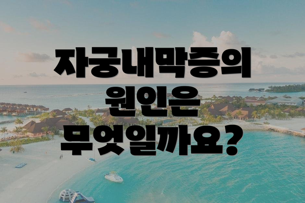 자궁내막증의 원인은 무엇일까요?