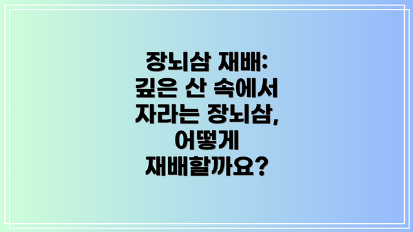 장뇌삼 재배: 깊은 산 속에서 자라는 장뇌삼, 어떻게 재배할까요?