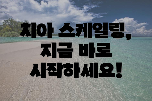 치아 스케일링, 지금 바로 시작하세요!