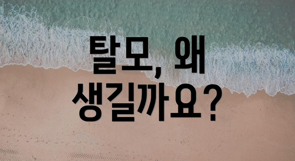 탈모, 왜 생길까요?