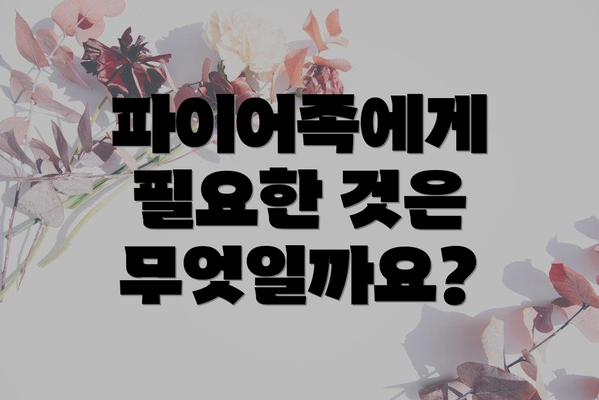 파이어족에게 필요한 것은 무엇일까요?