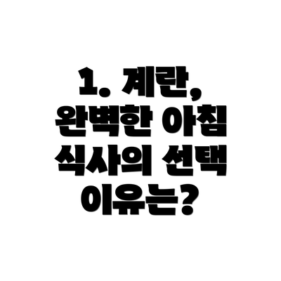 1. 계란, 완벽한 아침 식사의 선택 이유는?